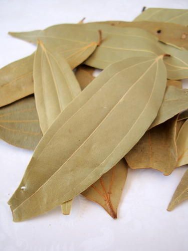 Cinnamon Bay Leaf