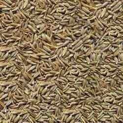 Cumin Seed