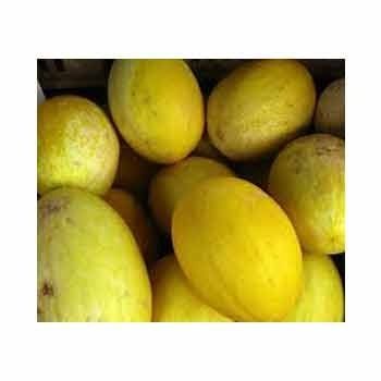 Export Honey melon- Partfruit