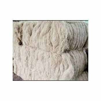 White Coir Fibers