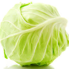 Fresh Cabbage