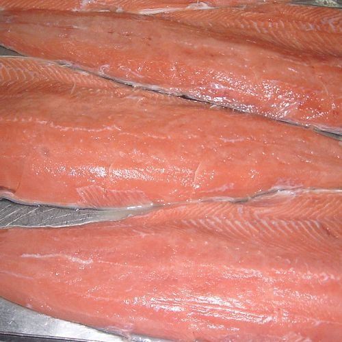 Frozen Chum Salmon Fillet Wholesale Fish Frozen Salmon