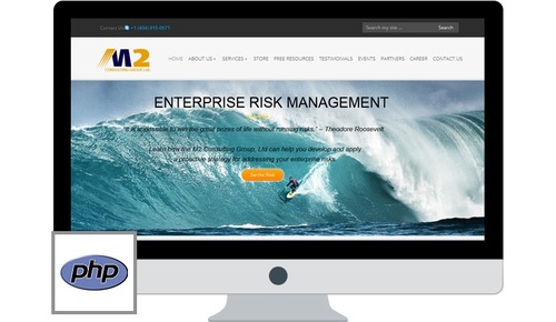M2 Consulting Group Development Services