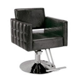 Attractive Salon Sofa Chair