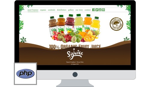 DrinkSoJuice Development Services