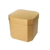 Plain Corrugated Box