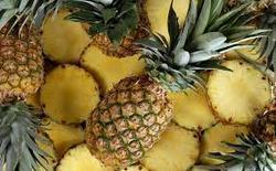 Pineapple Application: For Industrial & Laboratory Use