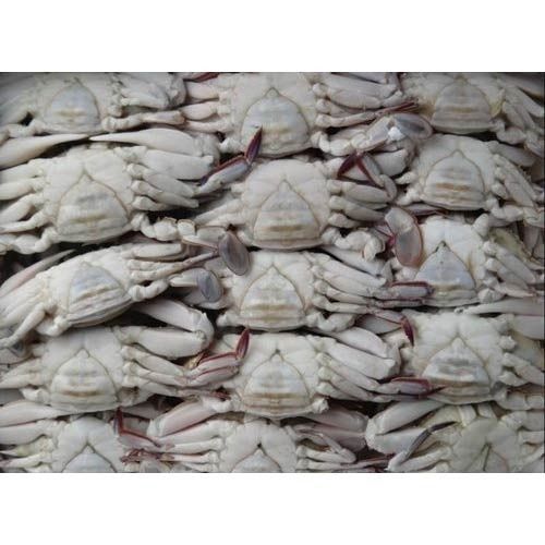 Frozen Crab - Hygienically Cleaned, Easy to Cook & Rich in Taste