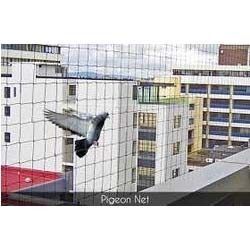 Pigeon Protection Net