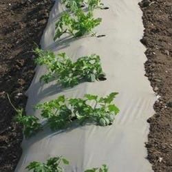 Agricultural Mulch Films