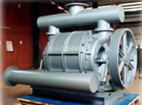 Water Ring Vacuum Pumps - High Performance Design | Long Lasting Durability, Reliable Efficiency