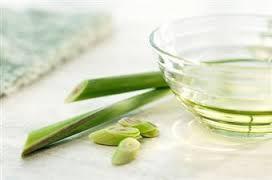 Lemongrass Essential Oil