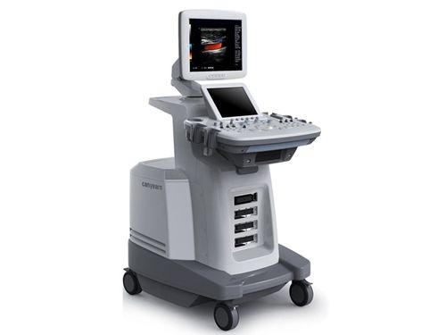 Trolley Color Doppler Ultrasonic Diagnostic System (C95)