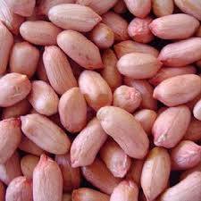 Indian Ground Nut