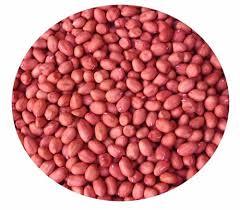 Red Skin Ground Nut