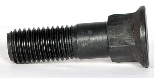 Ss Carriage Bolt