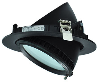 Adjustable LED Downlight