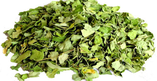 Moringa Leaves - Organic, Nutrient-Rich Superfood | Effective Against Arthritis, High Nutritional Value, Natural Energy Booster