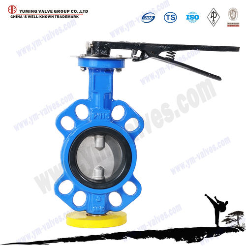 Handle Wafer End A216 WCB10 Inch Butterfly Valve Butterfly