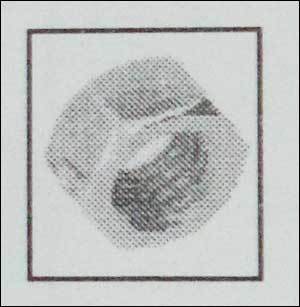 Hexagonal Head Bolt Din 933/931 Grade 5