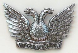 Vigilantia Badge