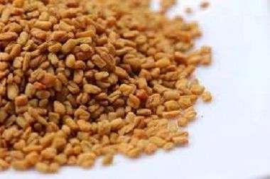 Fenugreek