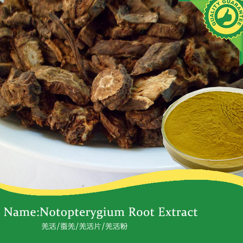 Natural Notopterygium Root Extract