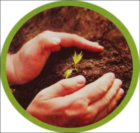 Organic Fertilizer