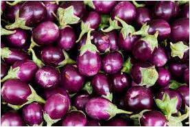 Fresh Brinjal