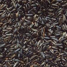 Niger Seed (Nyjer)