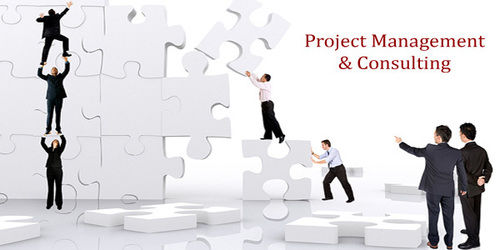 Project Consultant Services