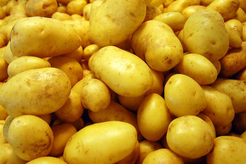 Fresh Indian Potatoes