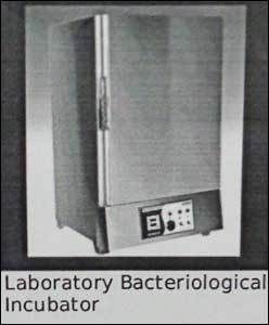 Laboratory Bacteriological Incubator 