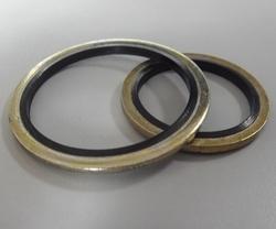 Metal Bonded Washers