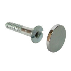 Mirror Screws