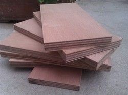 Neem Plywood