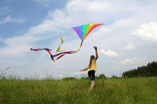 Kite Flying Cotton Glazed Threads