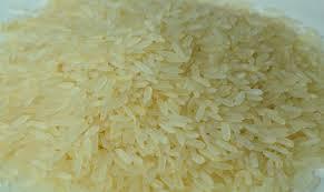 PACHAURI Rice