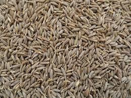 Cumin Seed