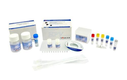 Hpv 27 Genotyping DNA Detection Kit