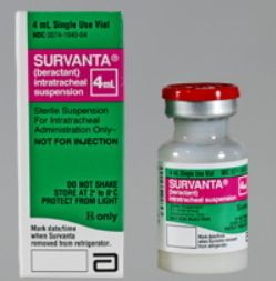 Survanta Beractant Injection