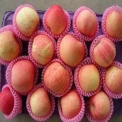 Fruit Packaging Foam Nets