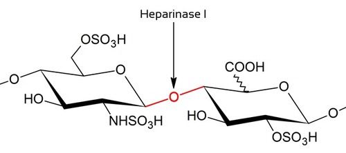 Heparinase I