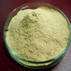 Yeast Extract Powder