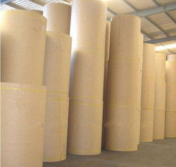 Industrial Poly Coated Paper