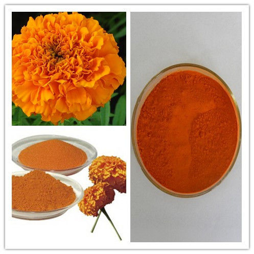 Marigold Flower Extract Lutein Powder Zeaxanthin