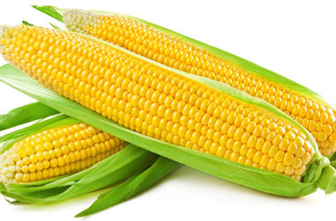 Sweet Corn