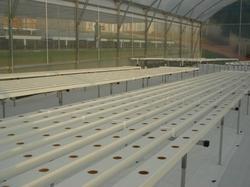 NFT Hydroponic Gully - UV Stabilized Food Grade UPVC, 100x50mm Size, 1.8mm Thickness, Length 1-6 Meters, Fire Proof & Compression Resistant with End Caps & Joiners, Installation Service Available