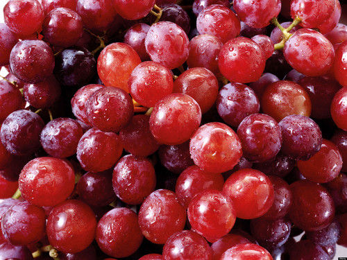 Resveratrol (Resveratrol 50%, 95%,98%)