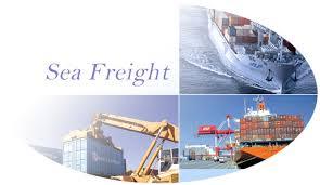 Dynamic Sea Freight Services